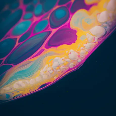 Chromatic Dance Odyssey