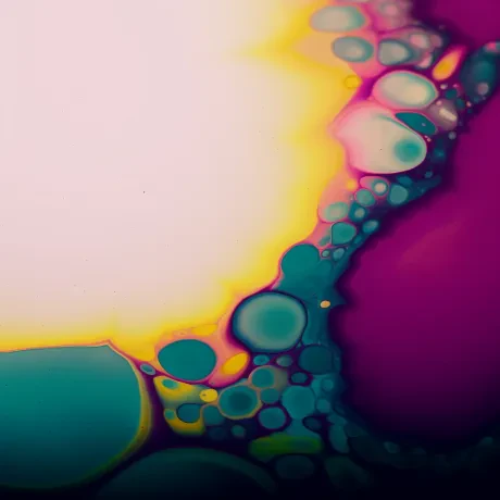 Harmonies in Vivid Chaos