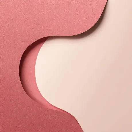 Dancing Enigma: A Symphony in Pink